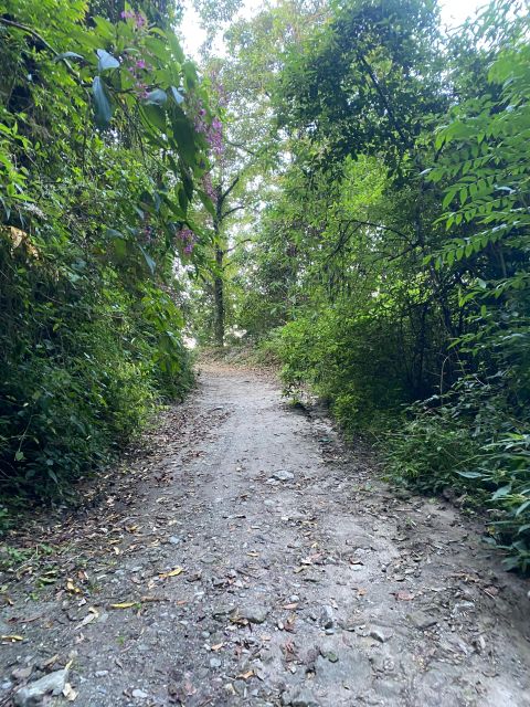 Kakani Day Hike