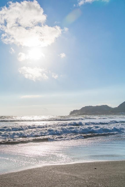Kamakura: Ninshō’s Trail Game With Online Course