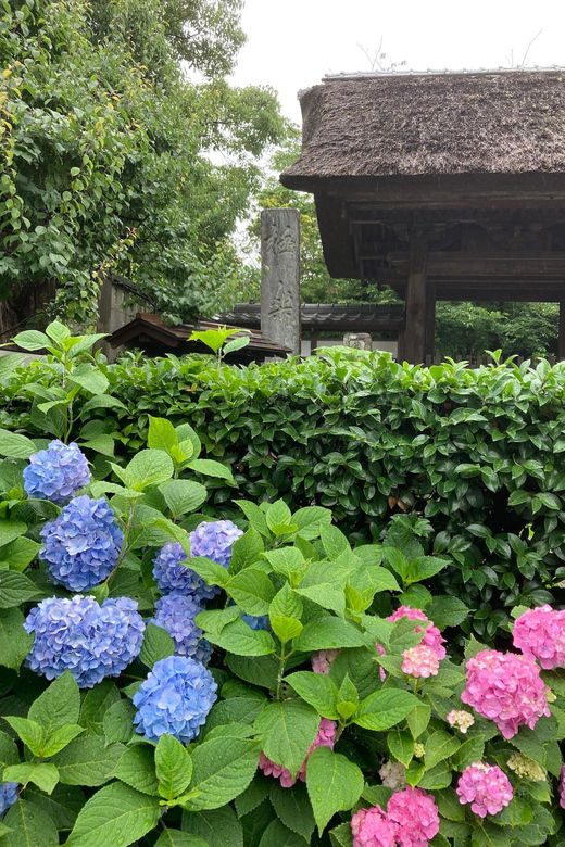 Kamakura: Tour on the Works of Ninsho in English