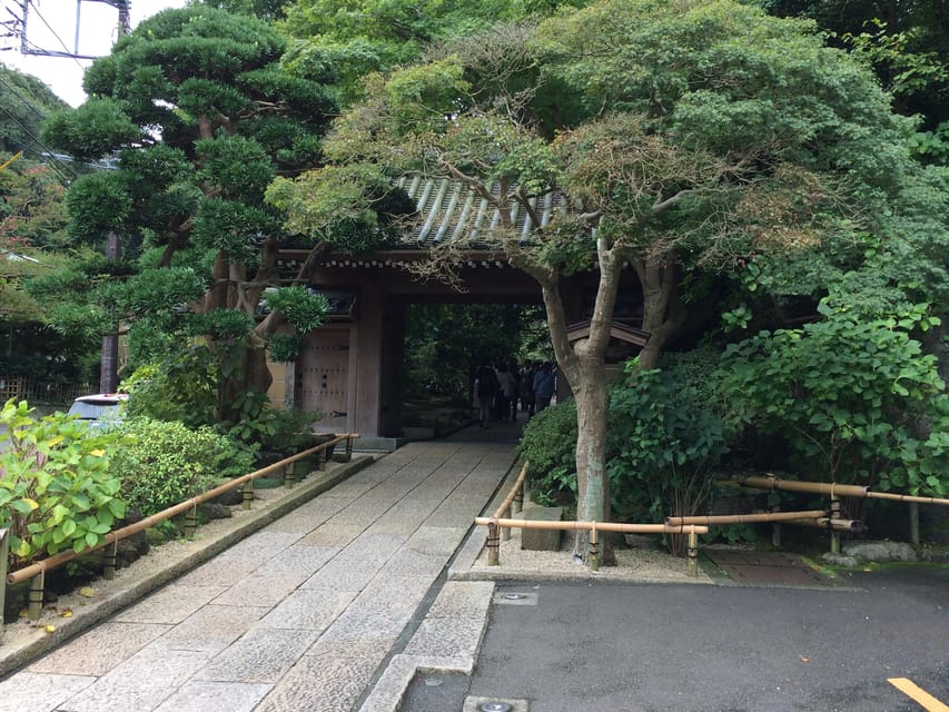 9 Best Guided Tours In Kamakura