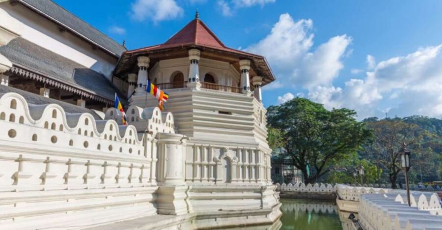 Kandy and Pinnawala: Private Day Trip From Colombo Harbor - Tour Overview and Pricing