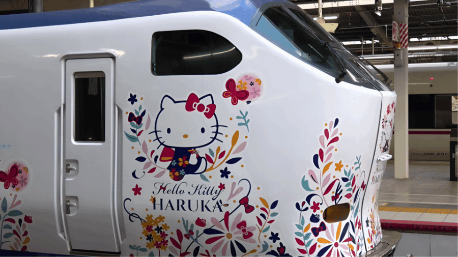 Kansai Airport Express HARUKA One-way Ticket
