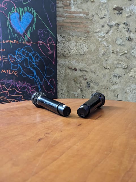 Karaoke in the City Center of Chartres for 2-6 People