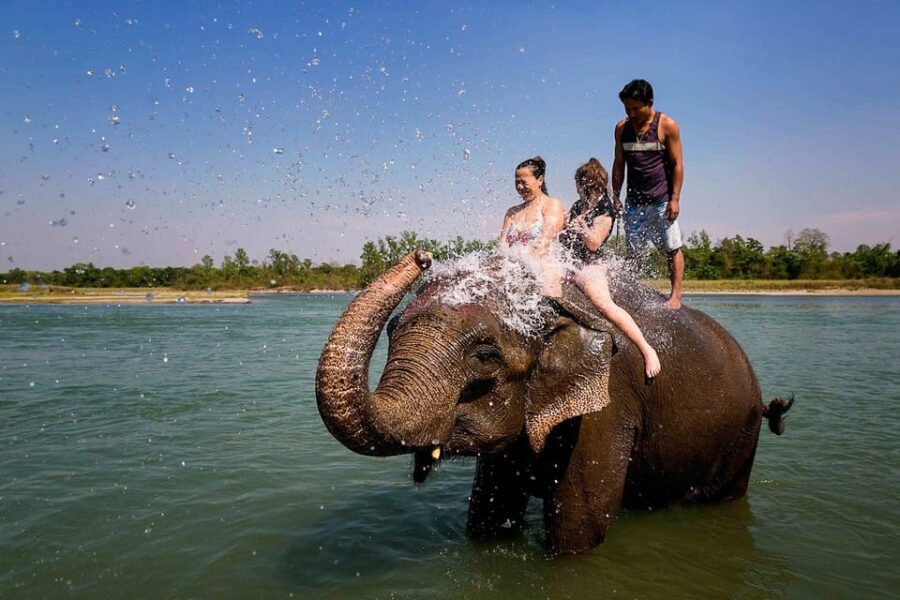Kathmandu: 3-Day Chitwan National Park Safari Tour Package