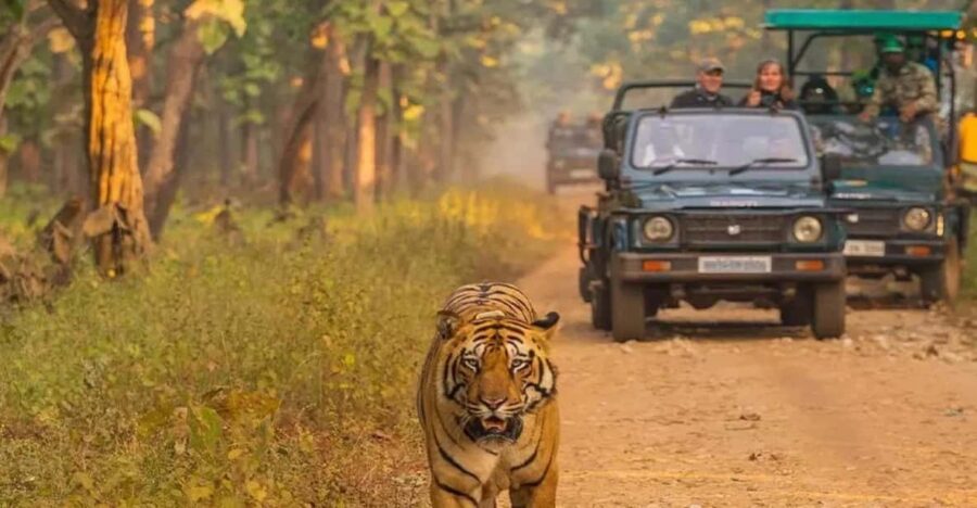 Kathmandu: 4-Day Private Chitwan National Park Safari Tour