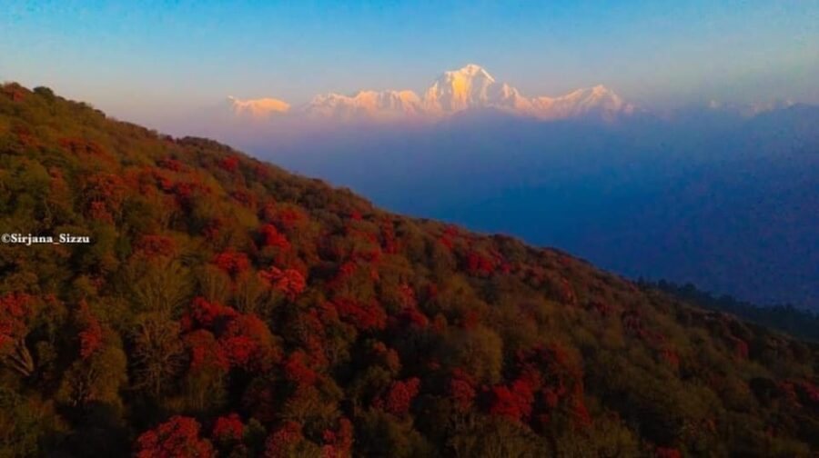 Kathmandu: 7-Day Annapurna Base Camp Via PoonHill Hot Spring