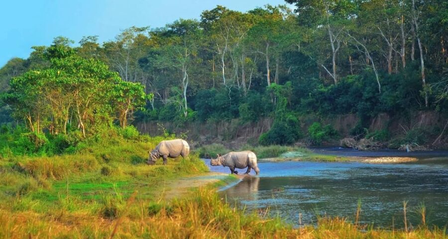 Kathmandu/Pokhara: 3 Day Chitwan Safari & Tower Night Stay