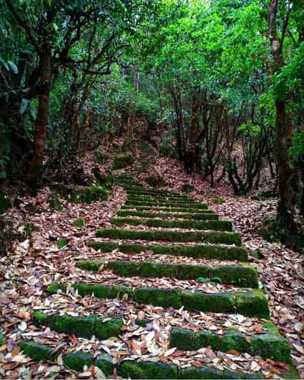 9 Best National Parks Tours In Kathmandu