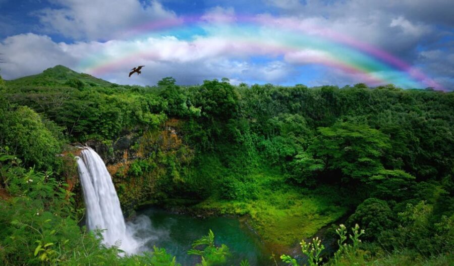 Kauai: Customized Luxury Private Tour - Tour Overview