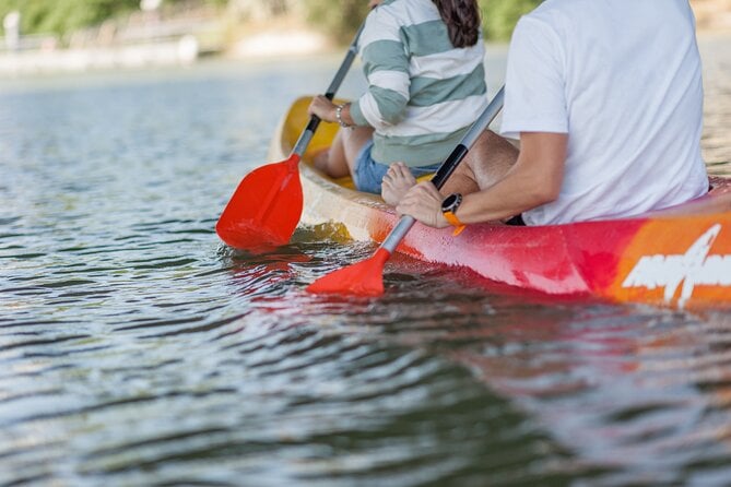 Kayak Guided Tours