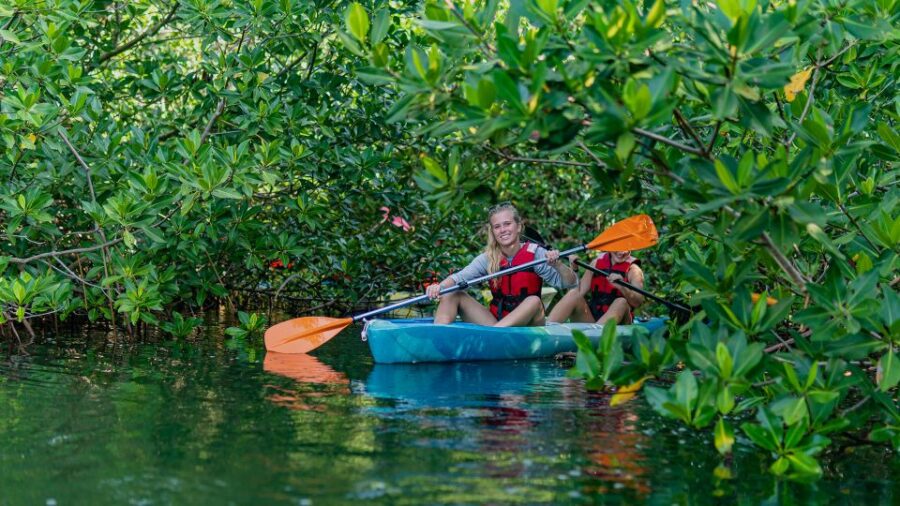 Kayak Tour in Cancun With Photos Included