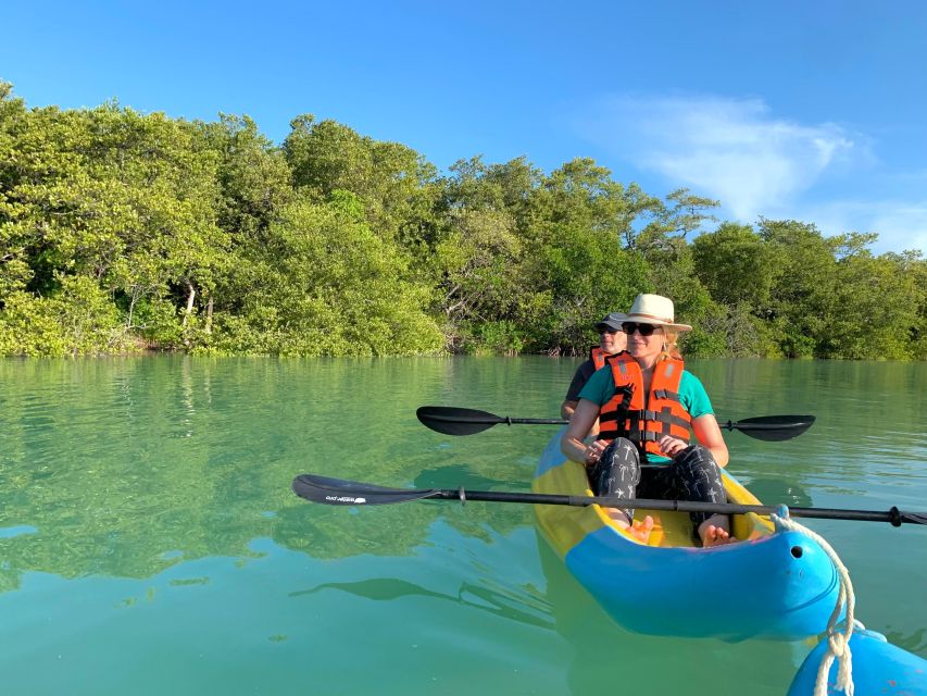 Kayak Tour Through Holbox Mangroves - Tour Overview and Details