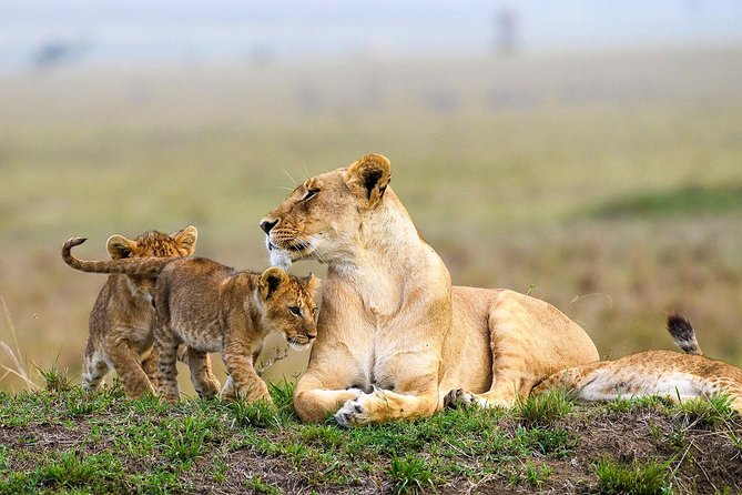 Keekorok Lodge 3 Days, 2 Nights Maasai Mara Offer