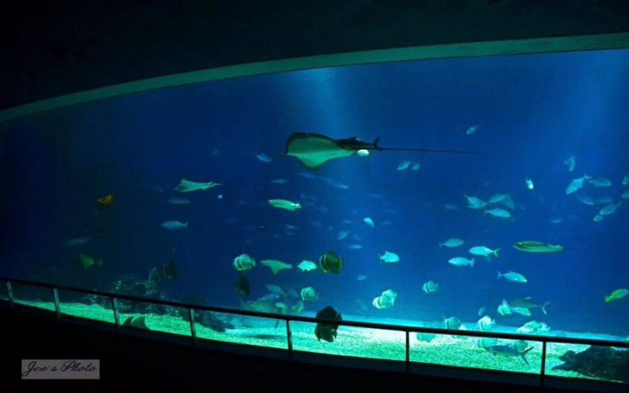 Kenting: National Museum of Marine Biology & Aquarium