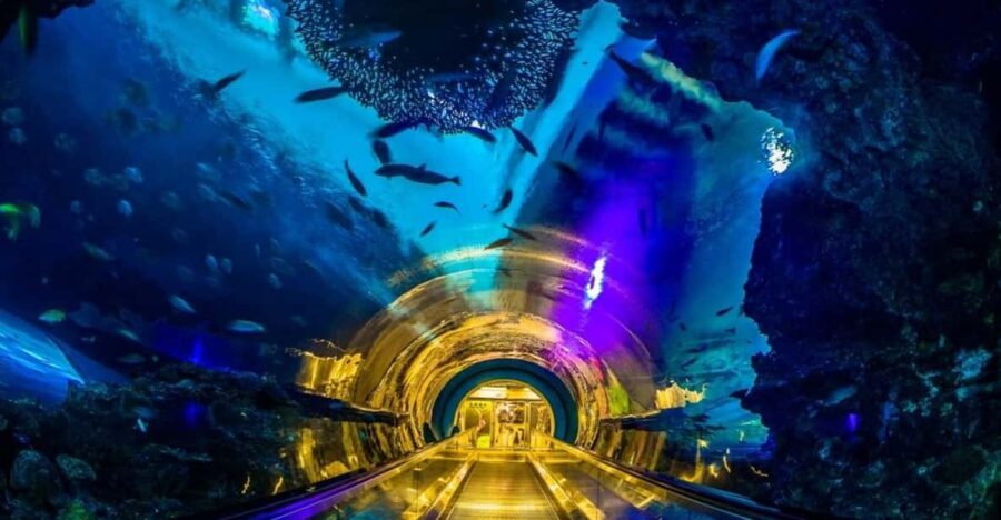 Kenting: National Museum of Marine Biology & Aquarium
