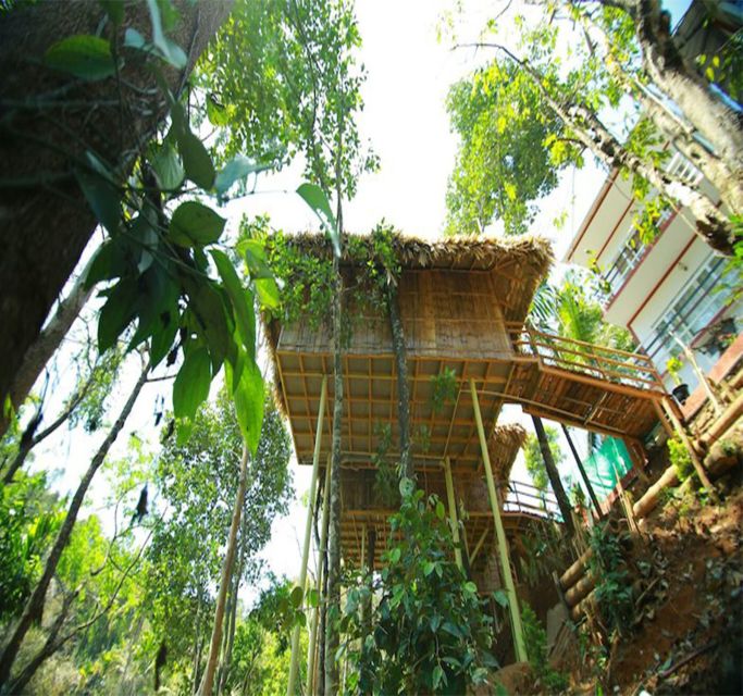 Kerala: 4-Day Tour With Tree House Stay & Houseboat Ride