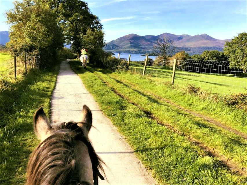12 Best Tours In Kerry
