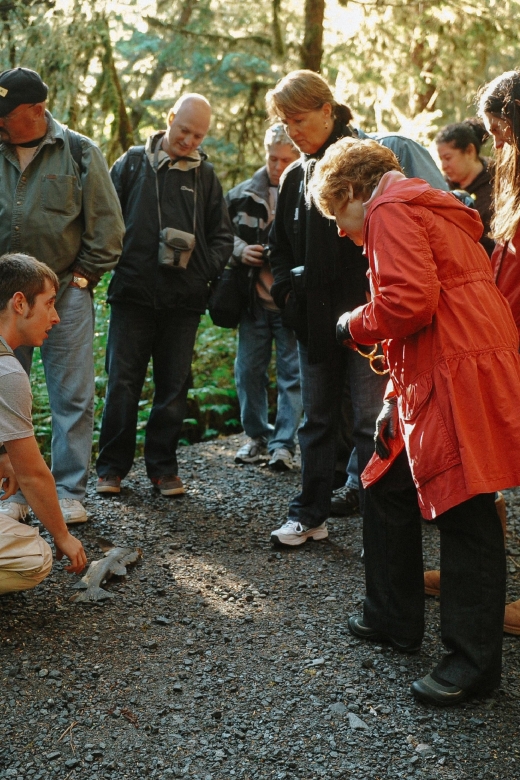 Ketchikan: Alaska Rainforest Sanctuary and Totem Park Walk - Tour Overview and Pricing
