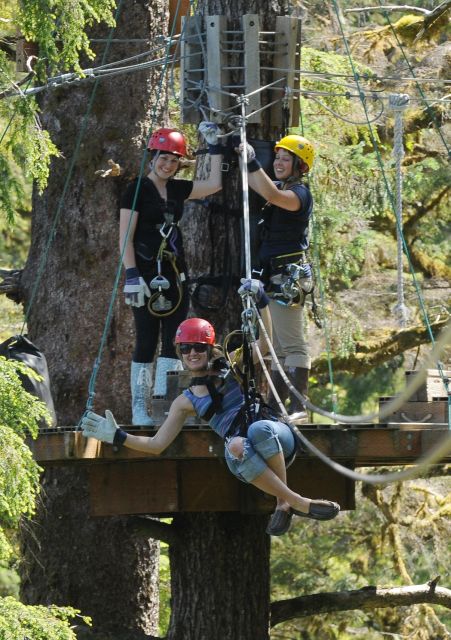 Ketchikan: Rainforest Zipline, Skybridge, & Rappel Adventure