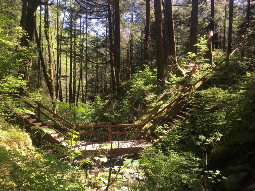 Ketchikan: Tongass Forest Alaska Bigfoot ATV Ride and Hike - Overview of the Adventure