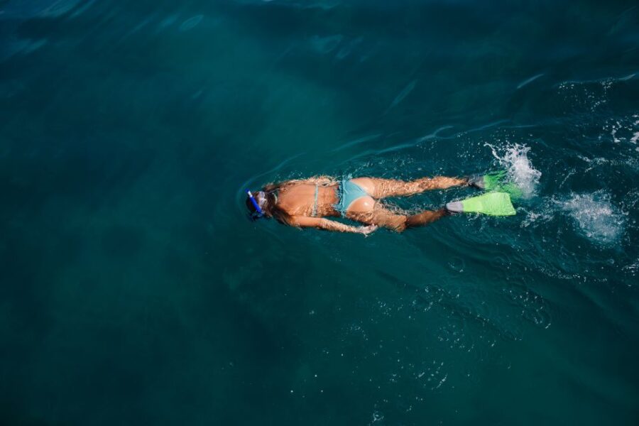 5 Best Snorkeling Experiences In Key West
