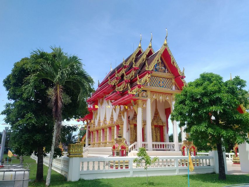 Khao Lak Eco-Safari: Elephants, Tsunami Museum, and Turtles
