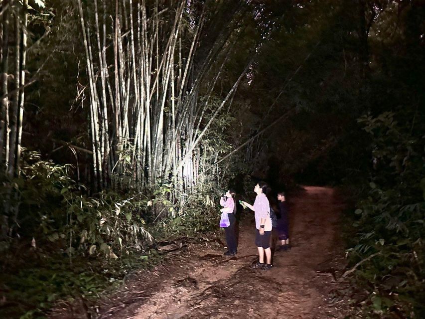 Khao Sok Jungle Sunset Wildlife Encounter & Bamboo Rafting