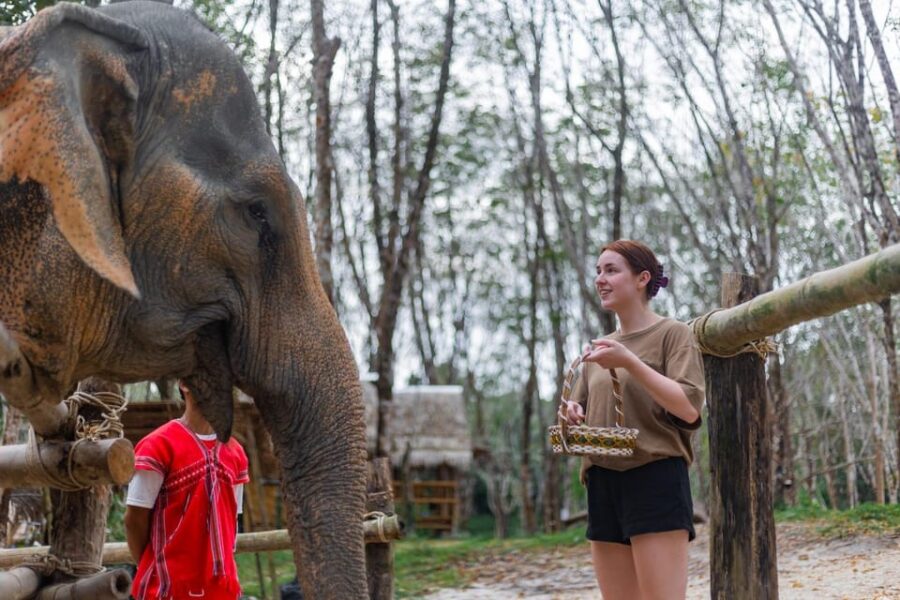 25 Best Tours In Khao Lak