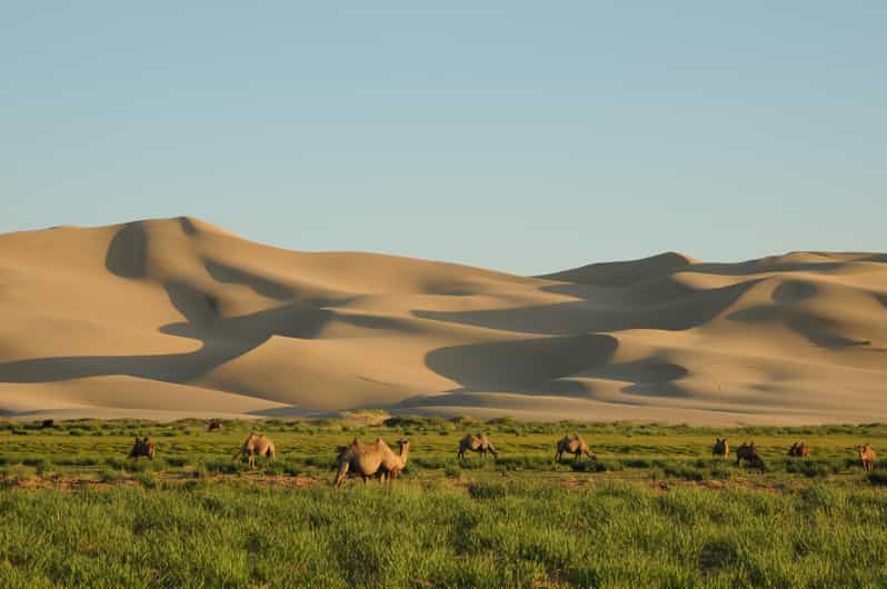 Kharkhorum, Mini Gobi & Ger Under the Stars: 3-Day Tour