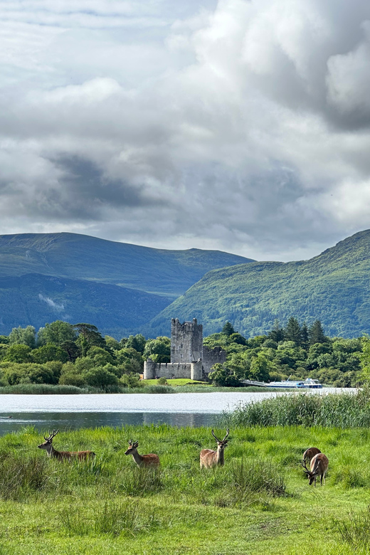 25 Best Tours In Killarney