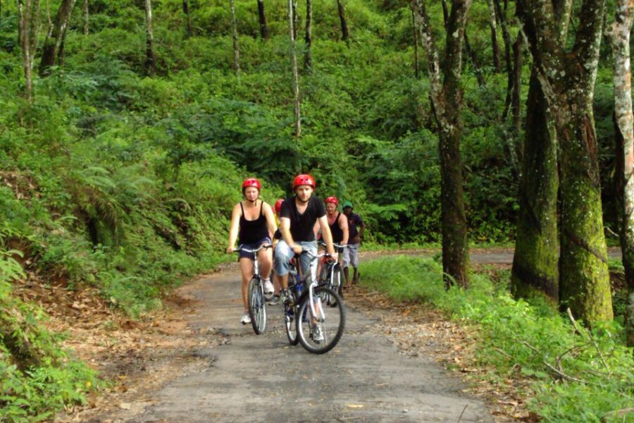 7 Best Tours In Kitulgala