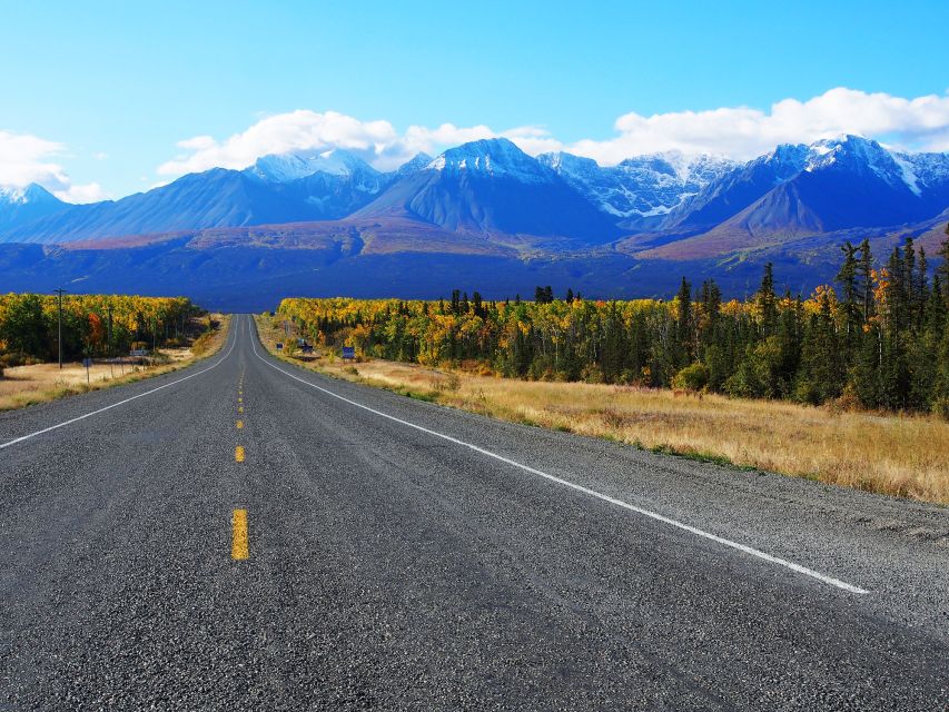 3 Best Full-Day Tours In Whitehorse