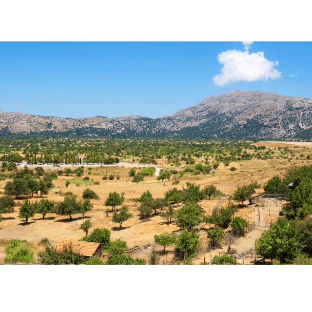 KNOSSOS & LASITHI: GUIDED TOUR IN KNOSSOS PALACE & ZEUS CAVE