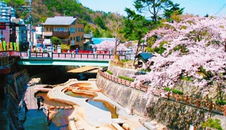 Kobe Mt Rokko View, Kitano Ijinkan, & Arima Onsen Day Trip - Tour Overview