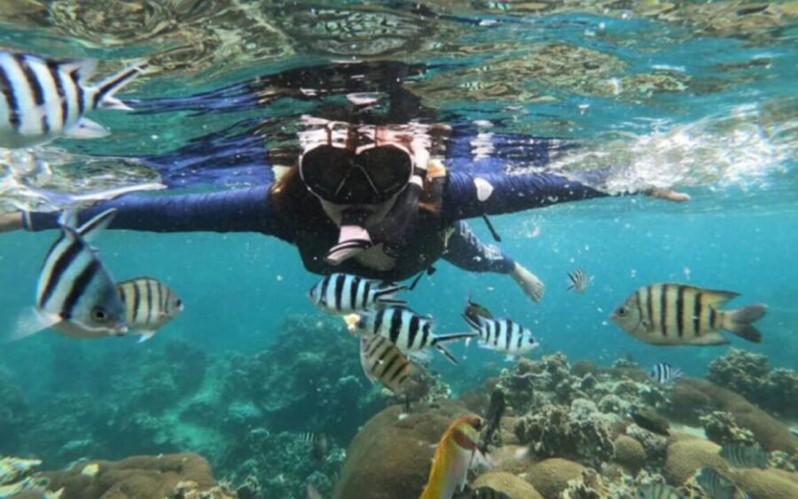 Koh Samui: Ang Thong Marine Park Day Tour by Speedboat