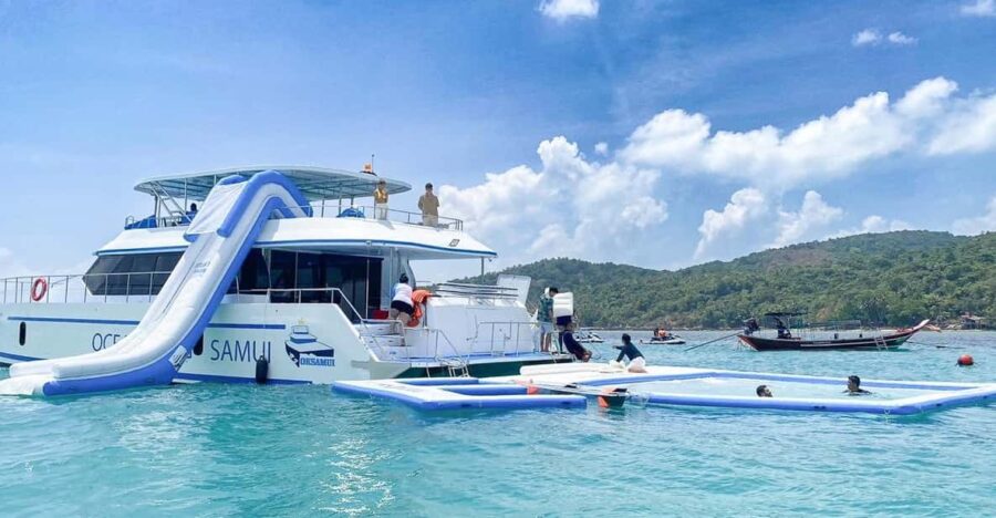 3 Best Dolphin Watching Tours In Koh Samui