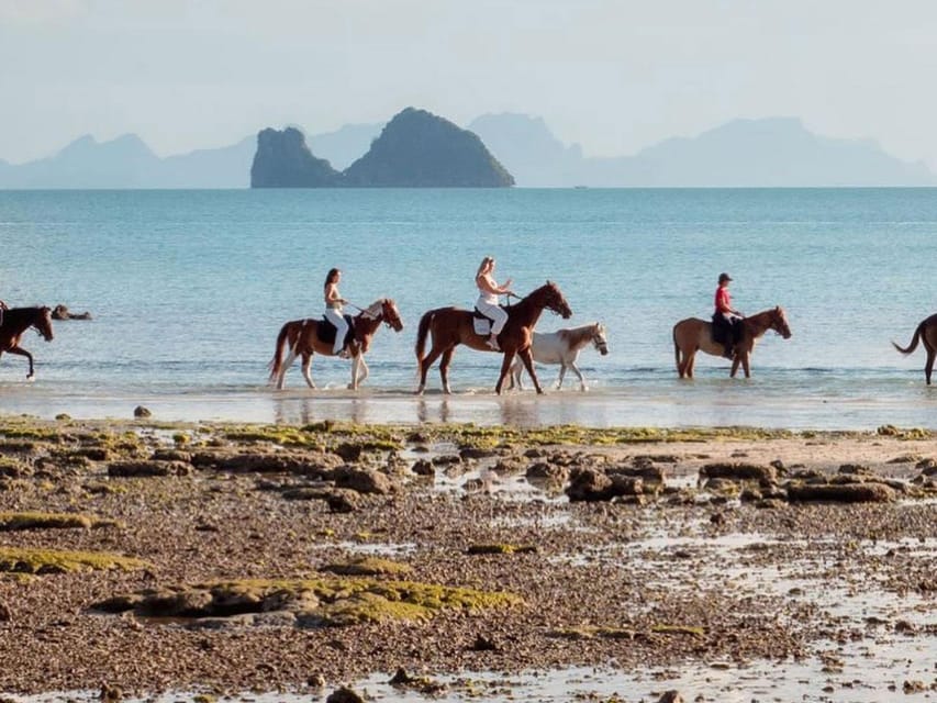 Koh Samui Horse Riding & Beach Trails - Discover Koh Samuis Lush Gardens