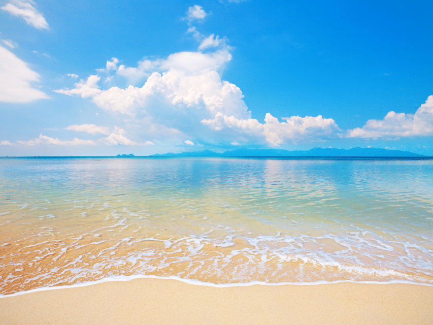 Koh Samui: Private Half-day Taxi Tour in the North