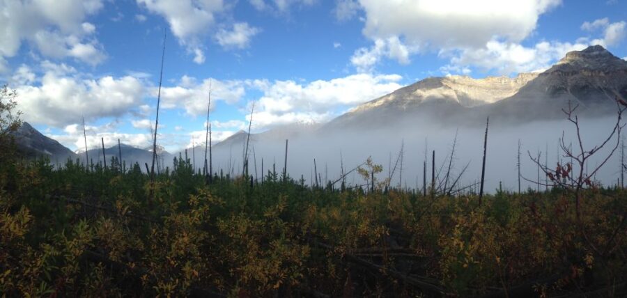 Kootenay National Park: Stanley Glacier Valley Tour