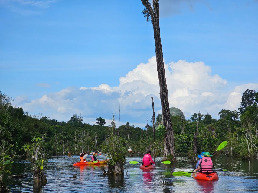 Krabi: South Kayak Klong Root Kayaking Tour
