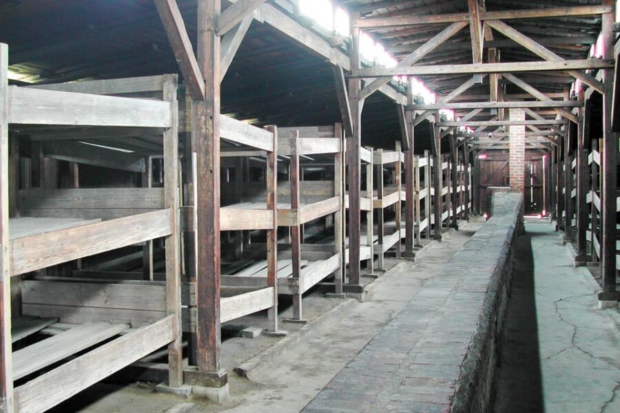 Krakow: Auschwitz-Birkenau Day Trip With Tour Leader