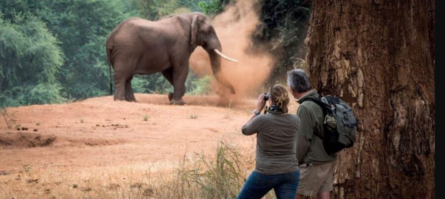 Kruger National Park - 4 Day Tour From Johannesburg