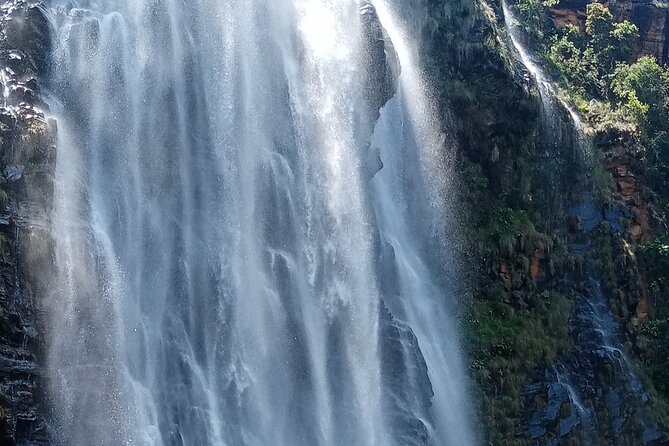 Kruger National Park & Panorama Route From Johannesburg 3 Days & 2 Nights