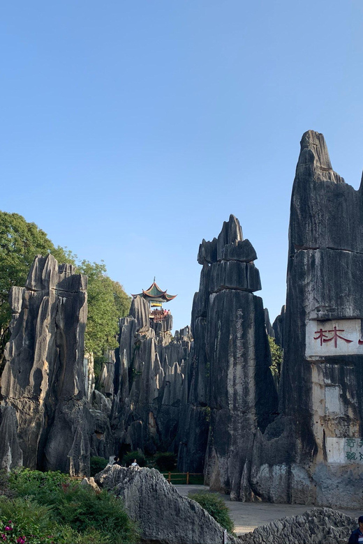 Kunming Stone Forest Day Tour - Itinerary Details