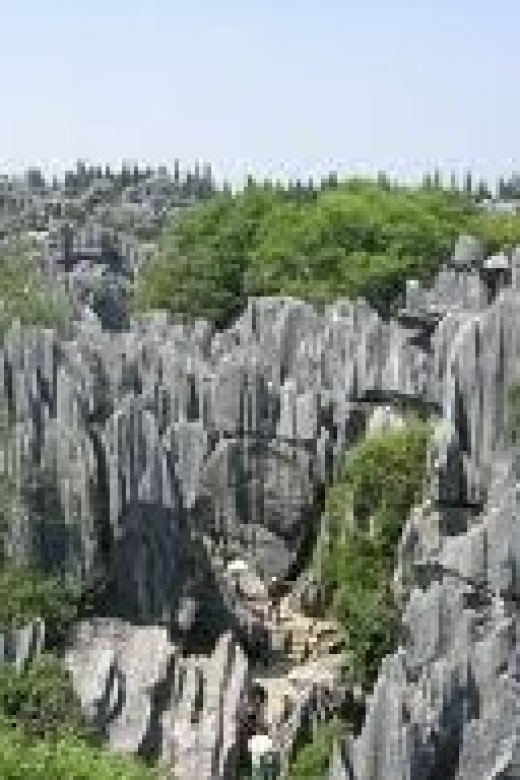 Kunming: Stone Forest Private Day Tour