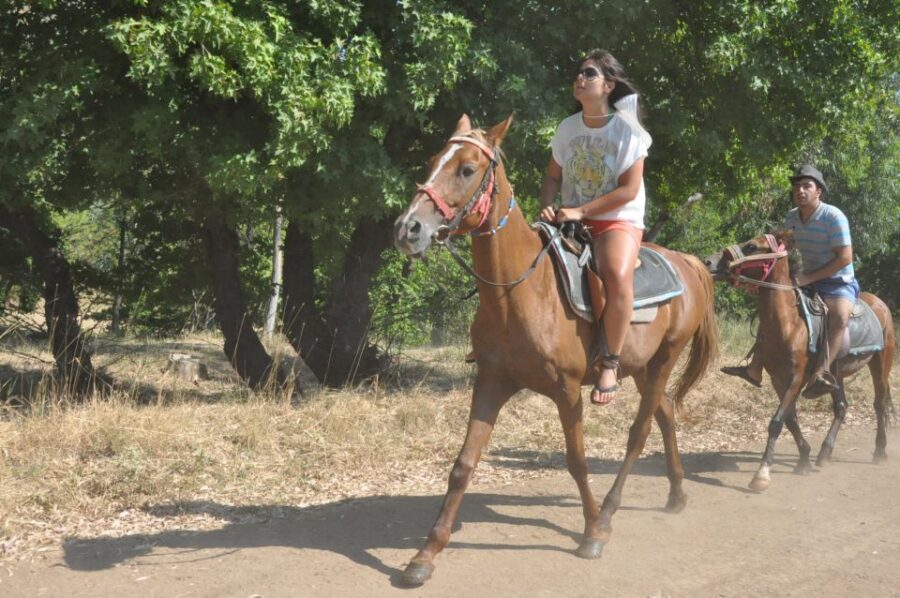 Kusadasi Horse Safari