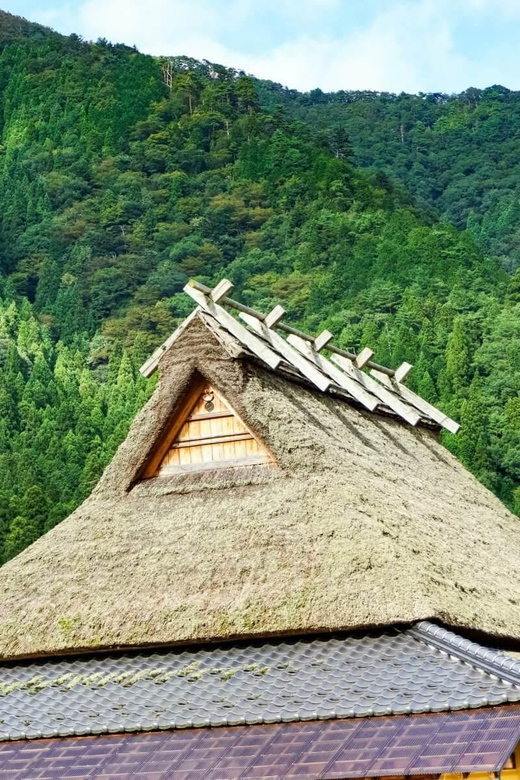 Kyoto Countryside Tour - Tour Overview