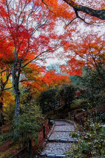 Kyoto/Osaka: Sanzen-in and Arashiyama Day Trip