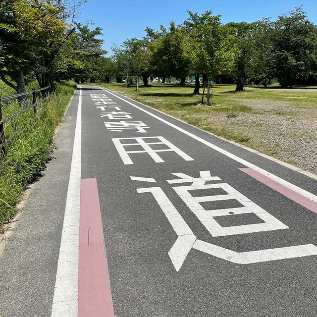 Kyoto: Rent a Touring Bike in Kyoto and Return in Osaka! - Osaka to Kyoto Cycle Tour