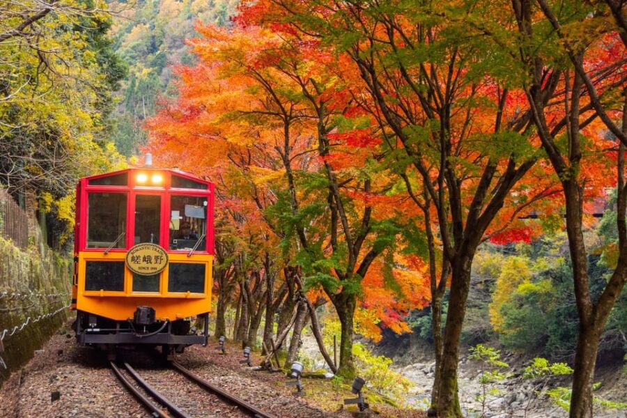 Kyoto Sagano Romantic Train in Arashiyama Bus Tour